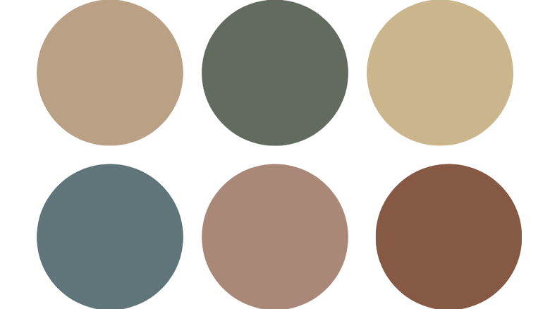 Paleta de colores